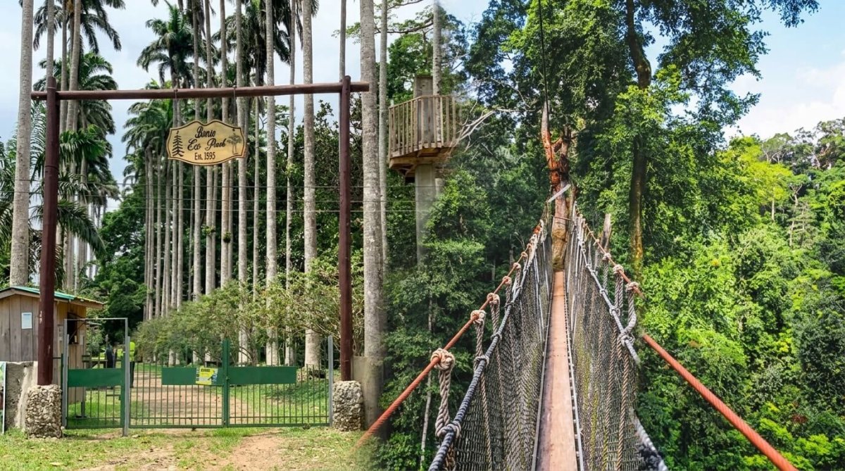 bunso eco park