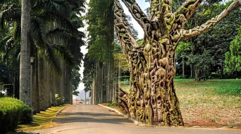 aburi botanical gardens