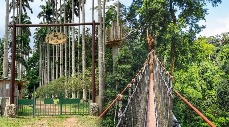 bunso eco park