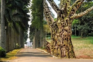 aburi botanical gardens