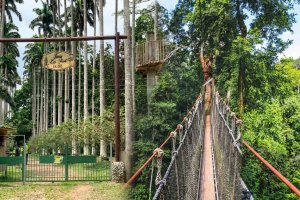bunso eco park